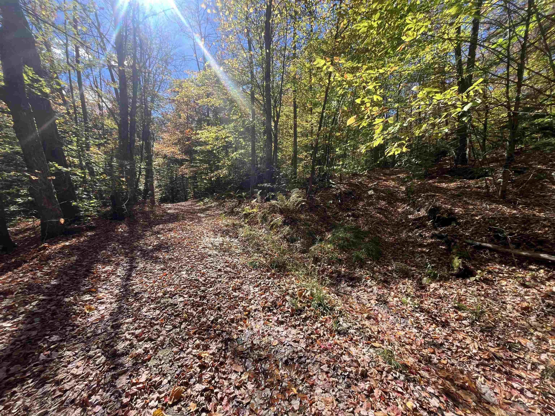 00 Messier Hill Road Roxbury VT 05669