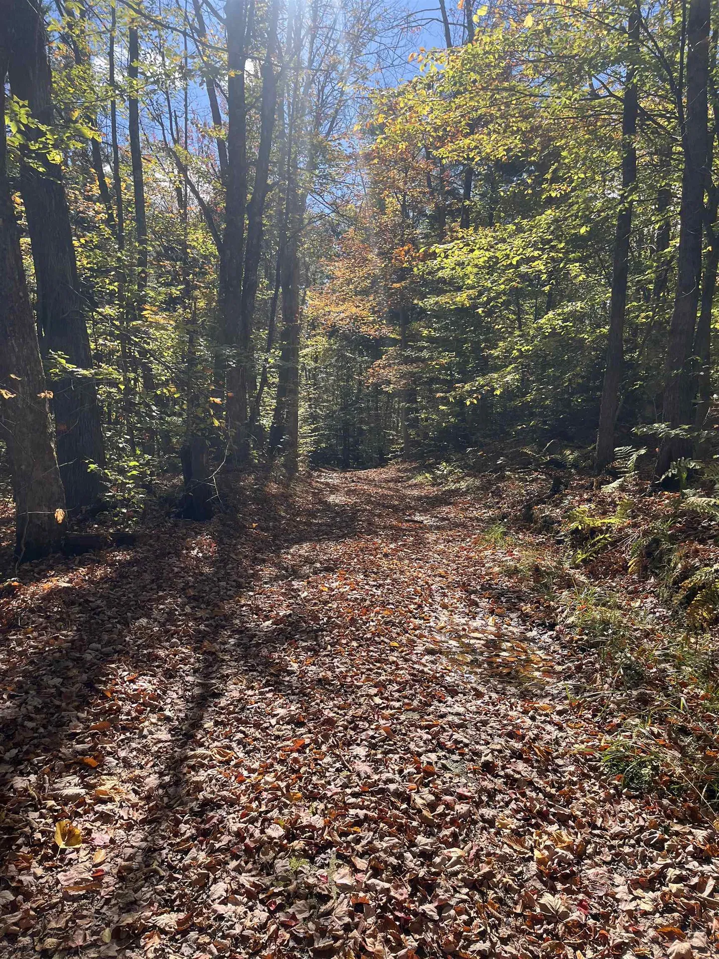 00 Messier Hill Road Roxbury VT 05669