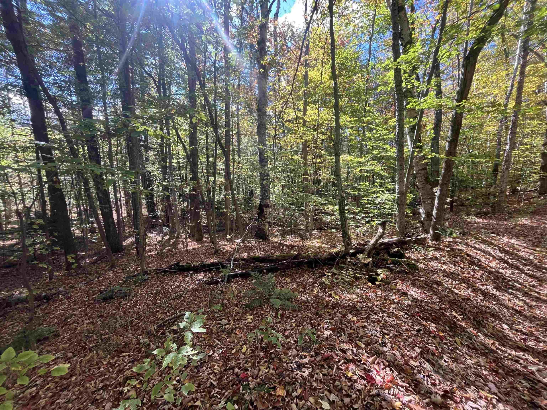 00 Messier Hill Road Roxbury VT 05669