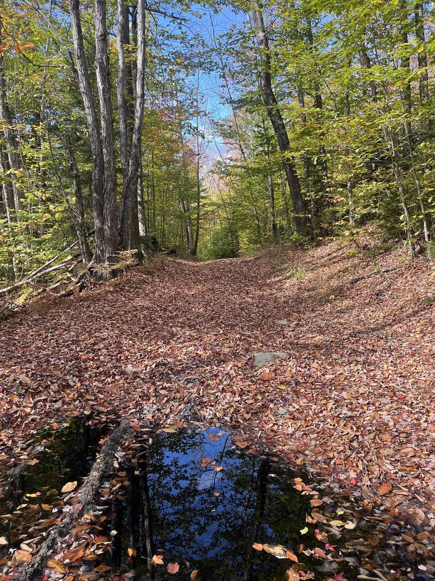 00 Messier Hill Road Roxbury VT 05669