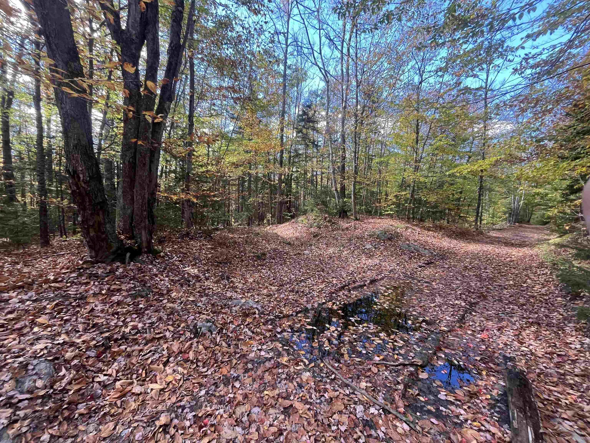 00 Messier Hill Road Roxbury VT 05669