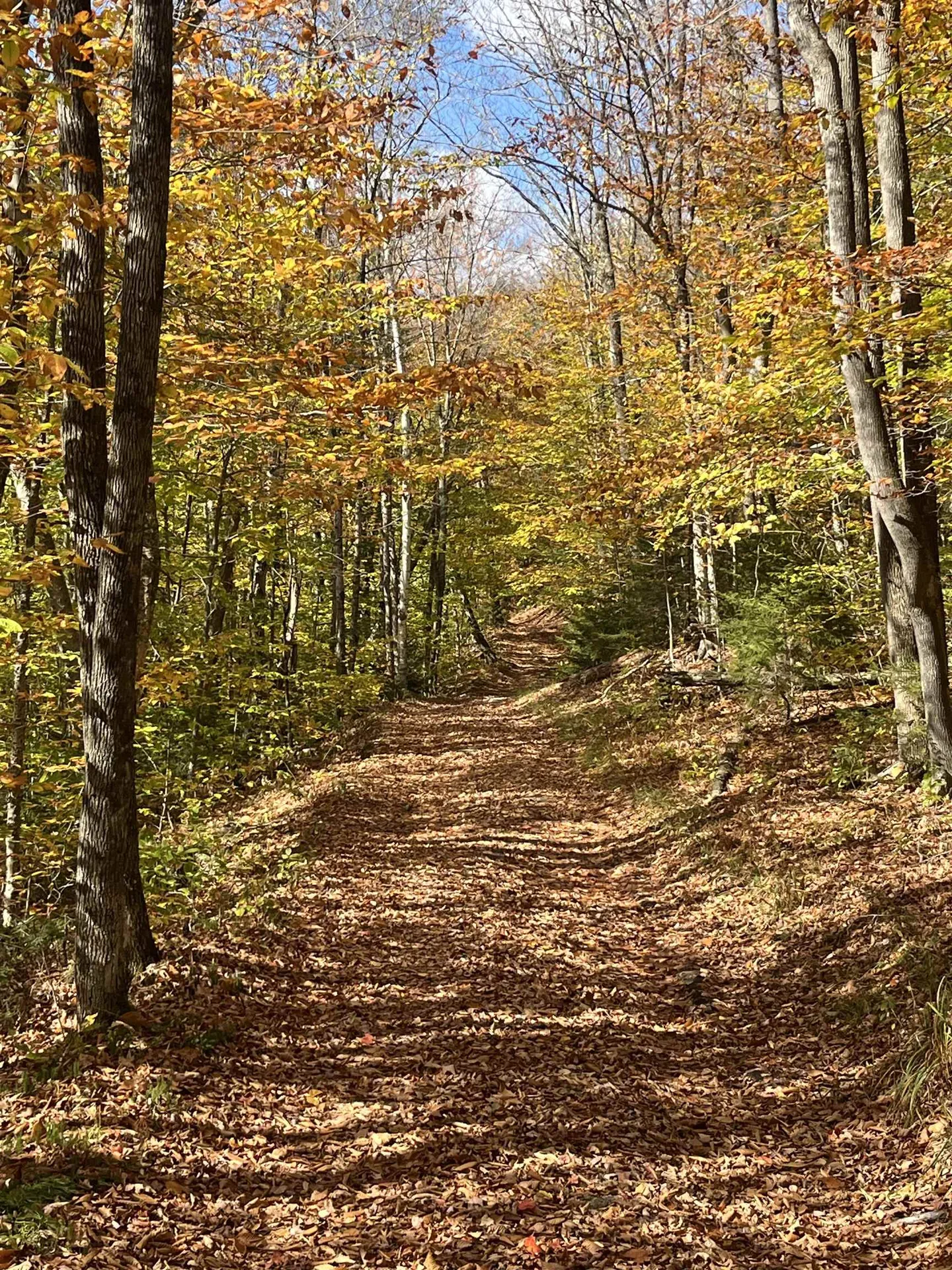 00 Messier Hill Road Roxbury VT 05669