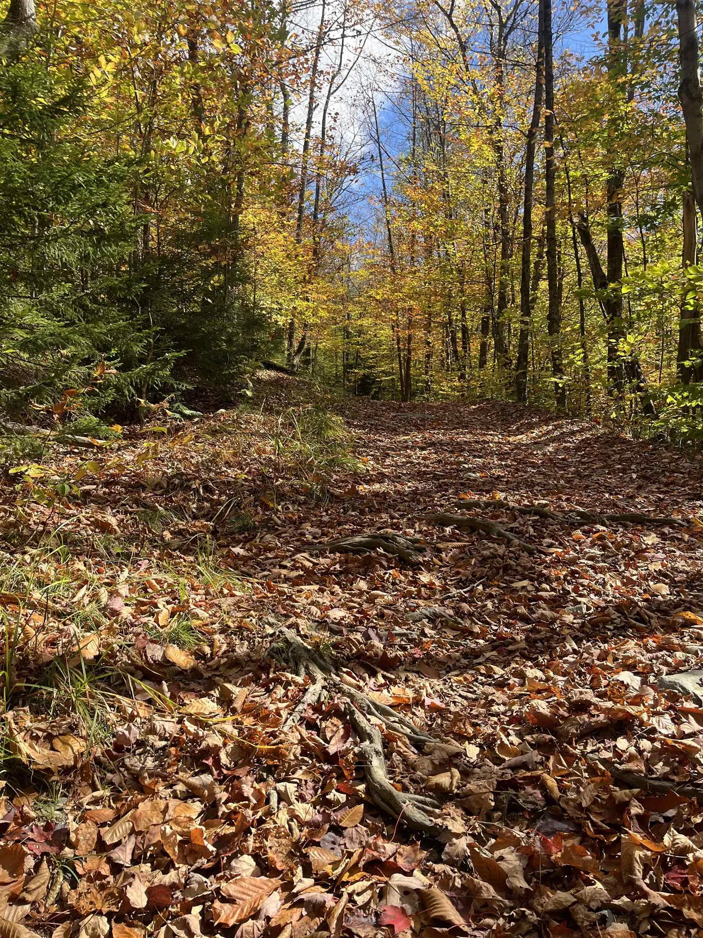 00 Messier Hill Road Roxbury VT 05669