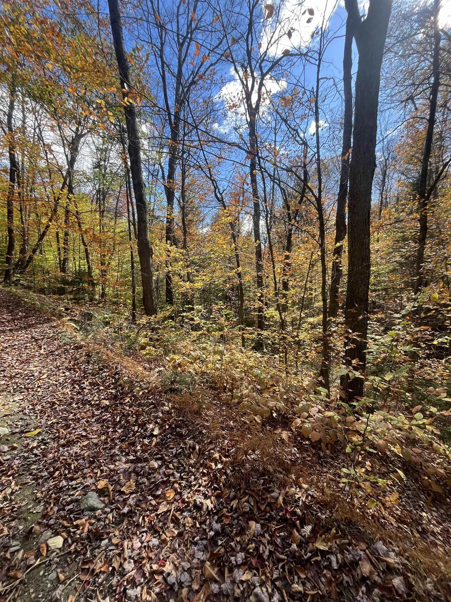 00 Messier Hill Road Roxbury VT 05669