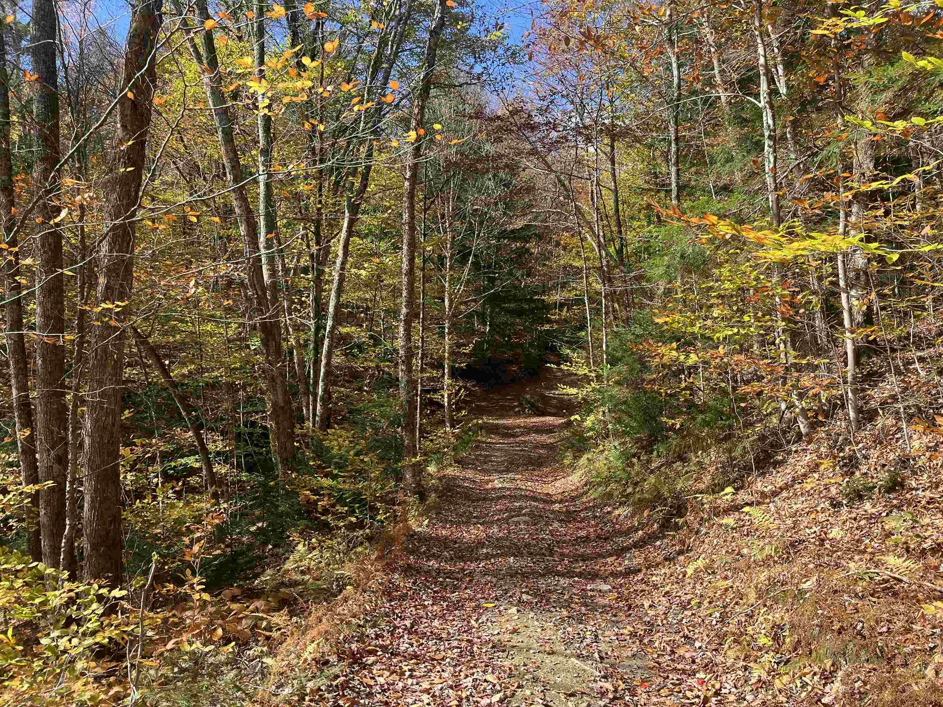 00 Messier Hill Road Roxbury VT 05669