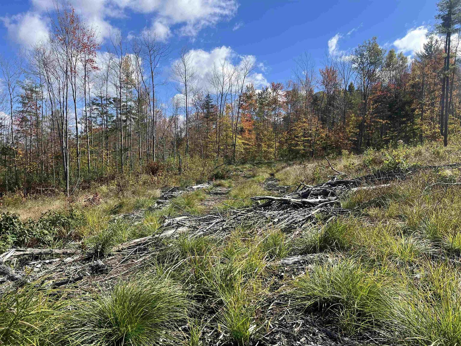 00 Messier Hill Road Roxbury VT 05669