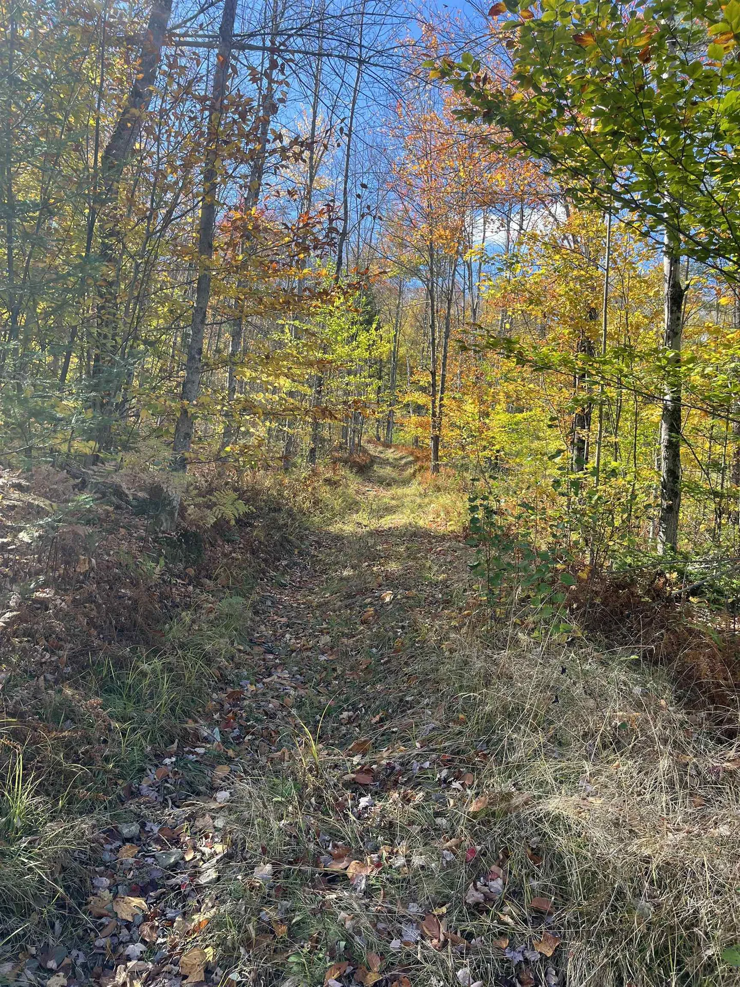 00 Messier Hill Road Roxbury VT 05669