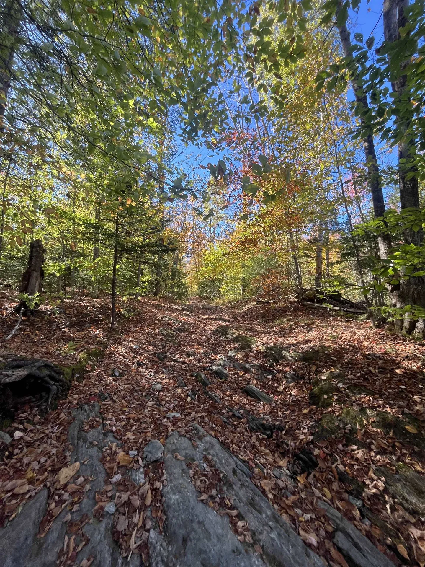 00 Messier Hill Road Roxbury VT 05669