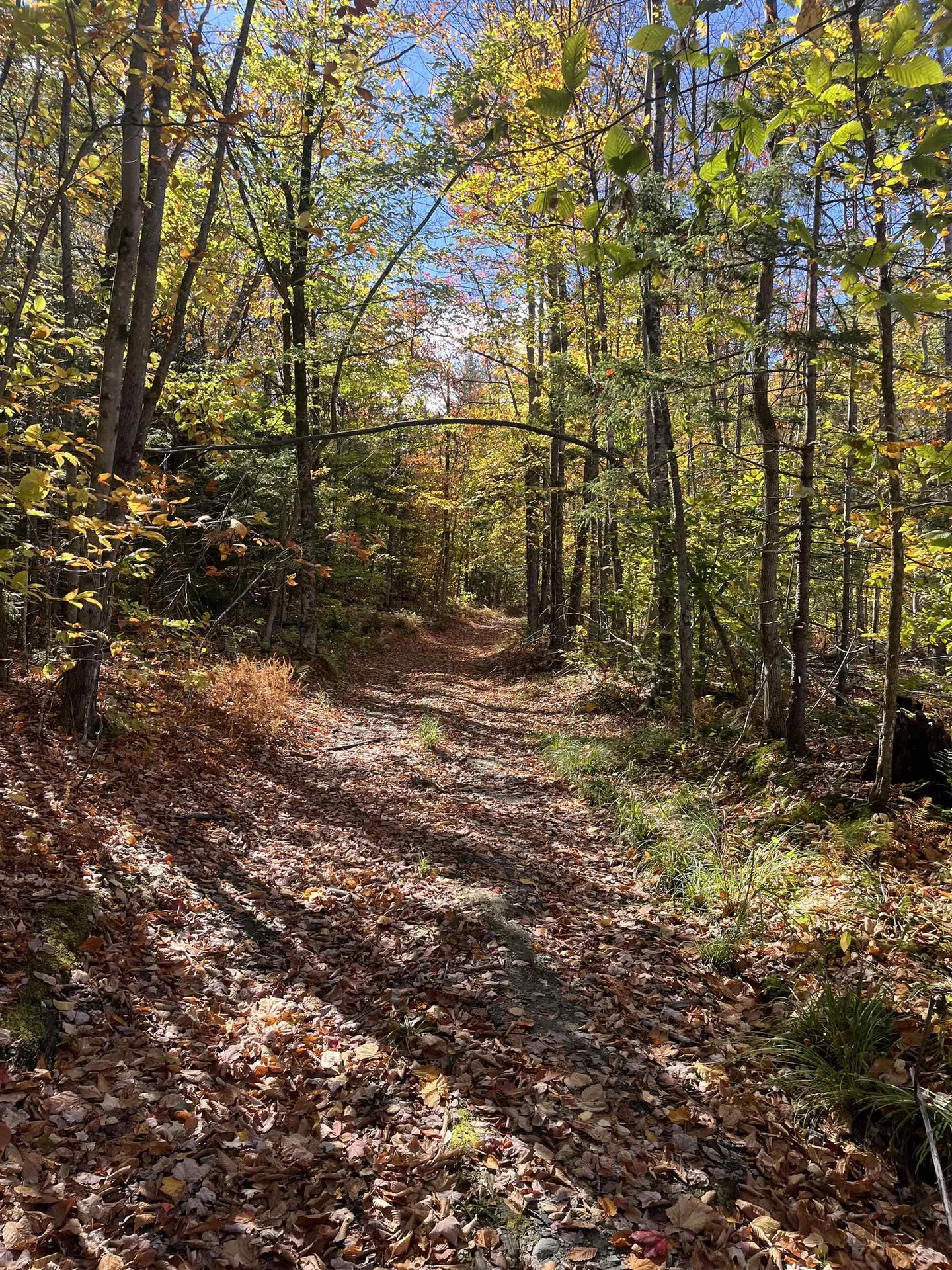 00 Messier Hill Road Roxbury VT 05669