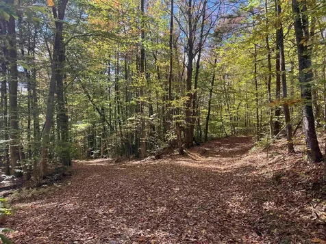 00 Messier Hill Road Roxbury VT 05669