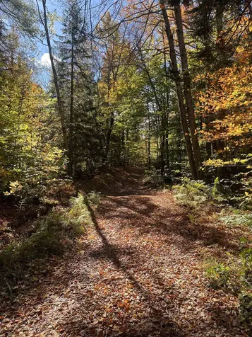 00 Messier Hill Road Roxbury VT 05669