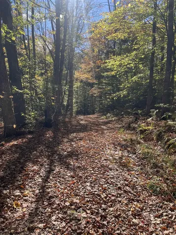 00 Messier Hill Road Roxbury VT 05669