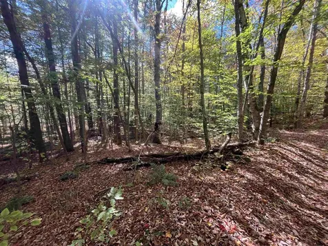 00 Messier Hill Road Roxbury VT 05669