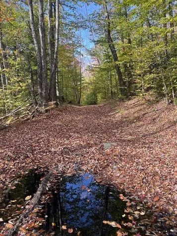 00 Messier Hill Road Roxbury VT 05669