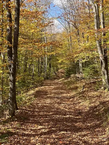 00 Messier Hill Road Roxbury VT 05669