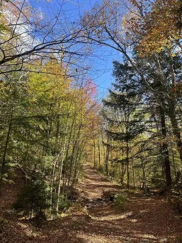 00 Messier Hill Road Roxbury VT 05669