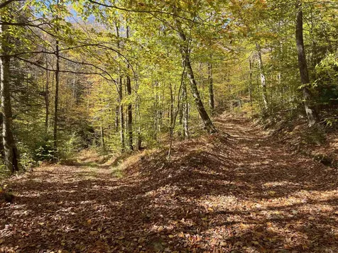 00 Messier Hill Road Roxbury VT 05669