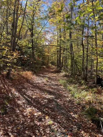 00 Messier Hill Road Roxbury VT 05669