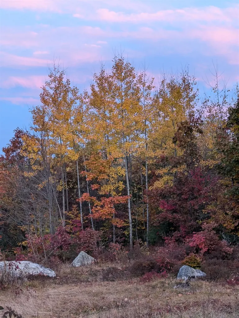 68 New Rye Road Epsom NH 03234