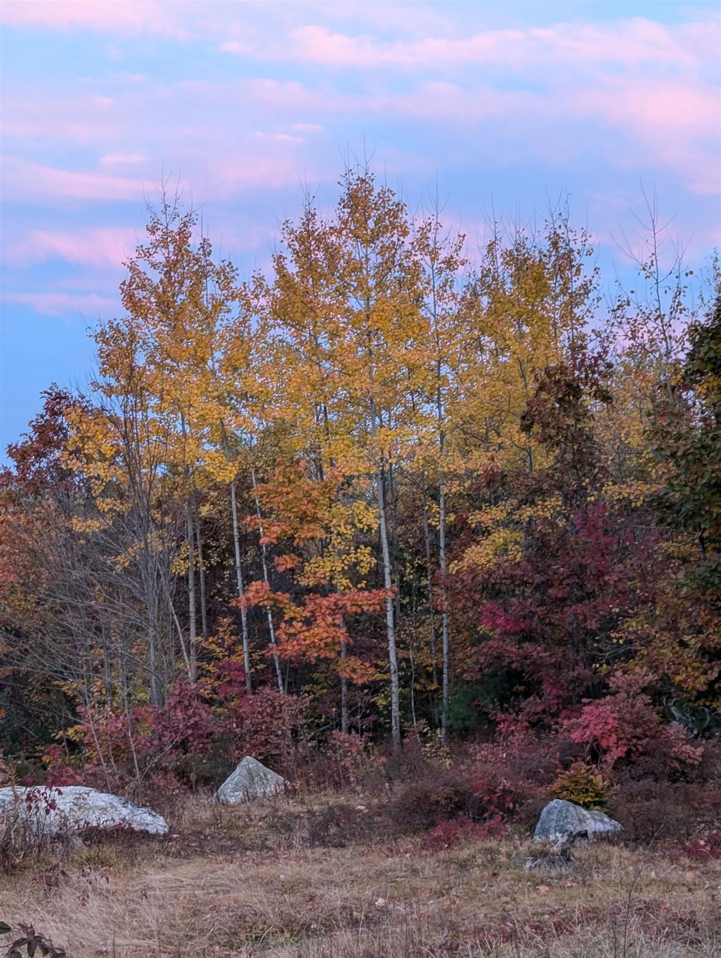 68 New Rye Road Epsom NH 03234