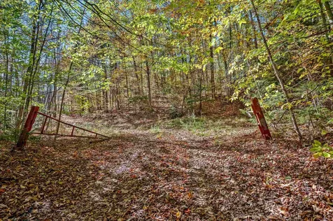 00 Devil's Washbowl Road Moretown VT 05660