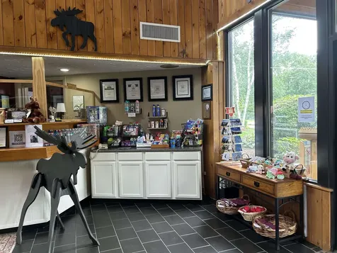 17 Harris Shore Road Gilford NH 03249