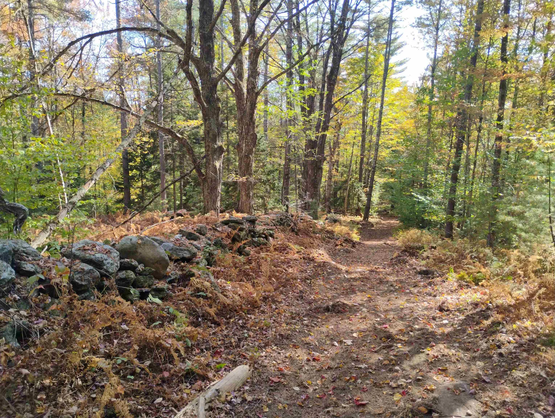 1506 Windham Hill Road Townshend VT 05353