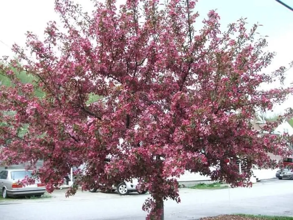 518 Western Avenue Berlin NH 03570