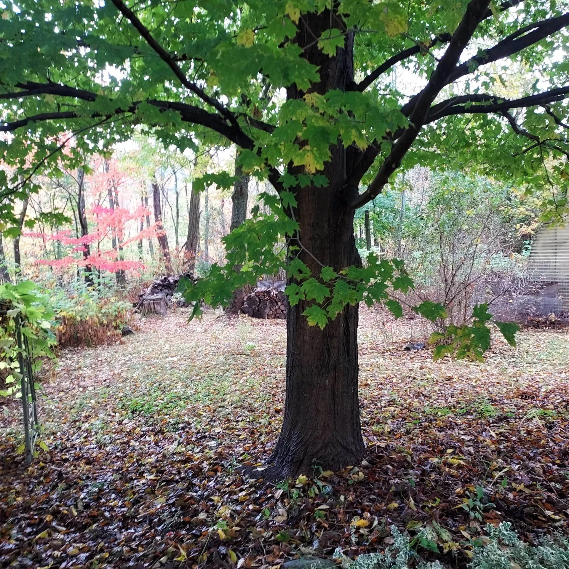 518 Western Avenue Berlin NH 03570