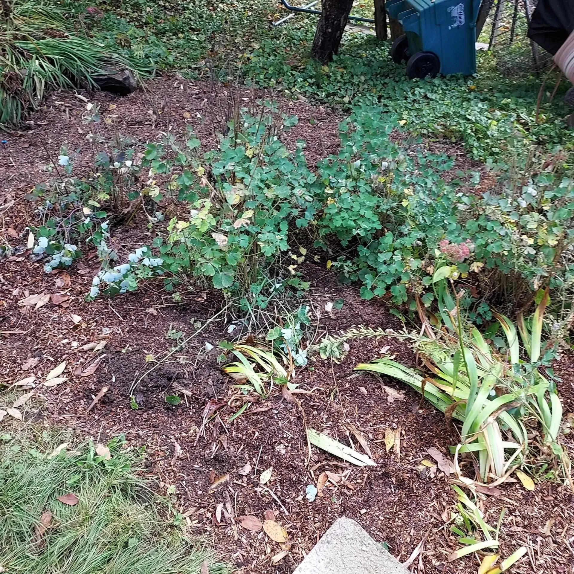 518 Western Avenue Berlin NH 03570