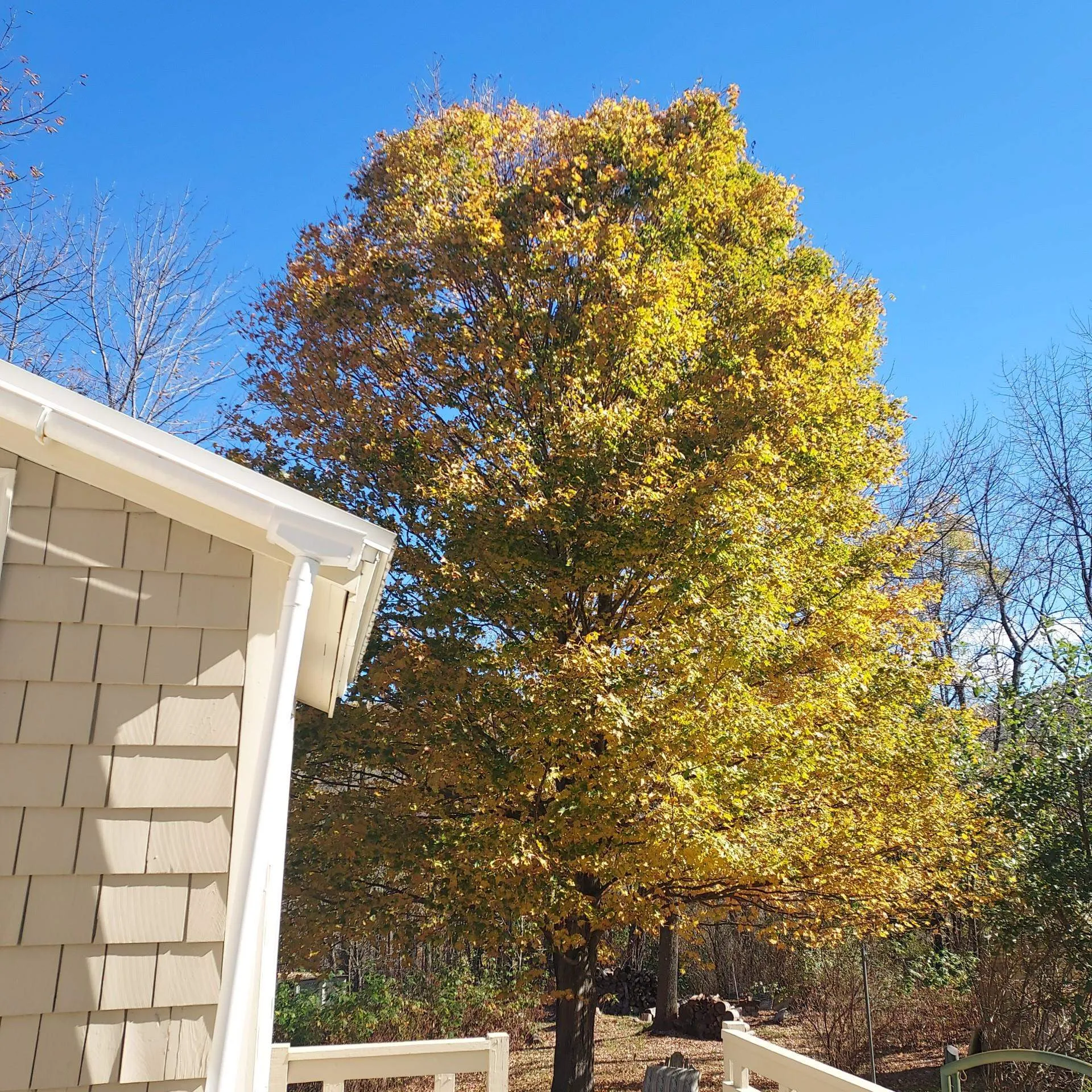 518 Western Avenue Berlin NH 03570