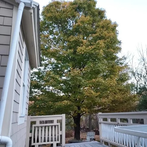 518 Western Avenue Berlin NH 03570