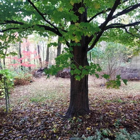 518 Western Avenue Berlin NH 03570