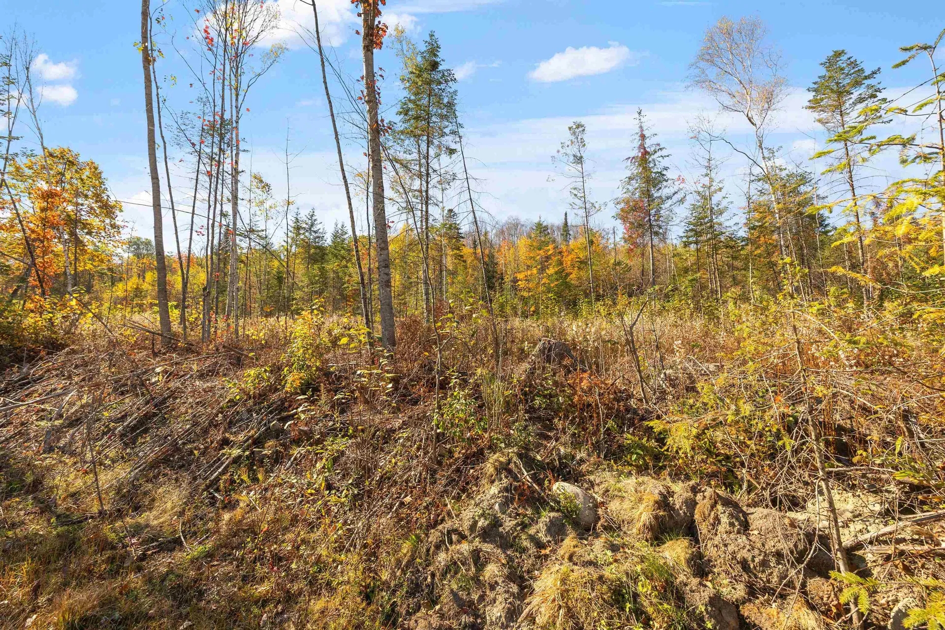 Lot 22 Hartco Avenue Lancaster NH 03584