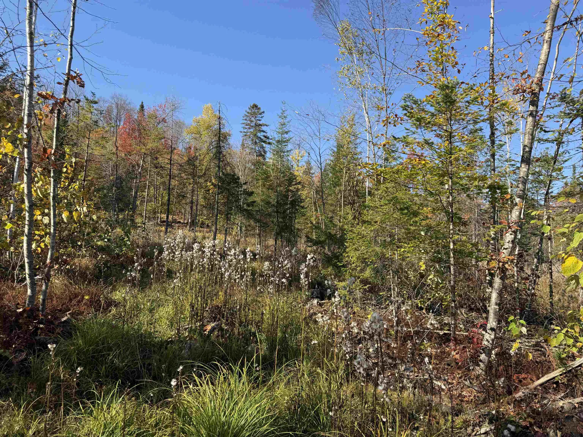 Lot 26 Hartco Avenue Lancaster NH 03584