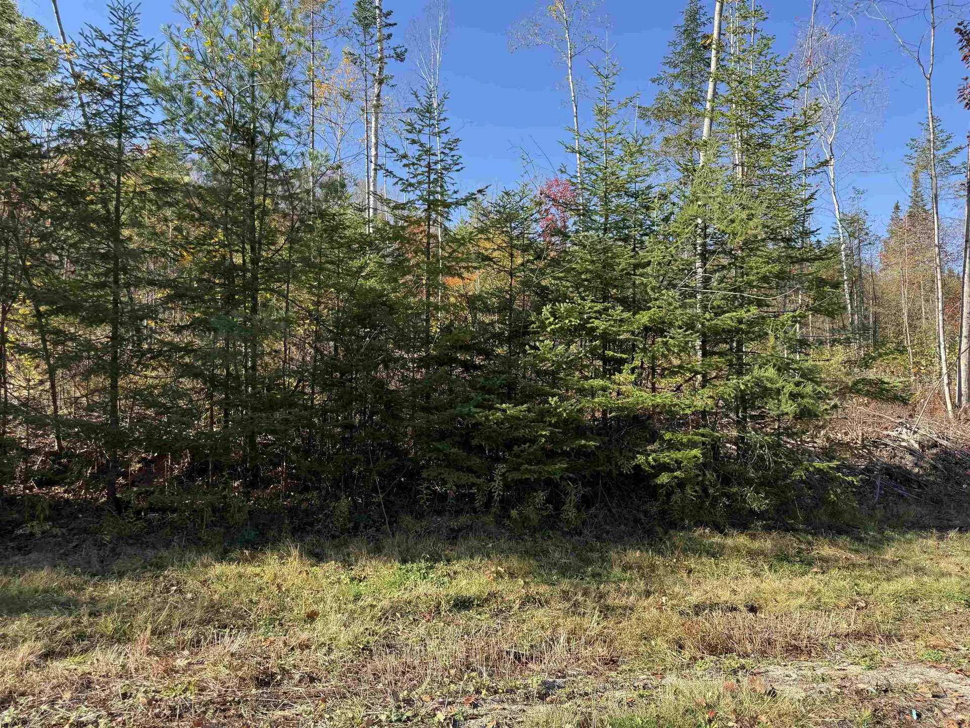Lot 24 Hartco Avenue Lancaster NH 03584