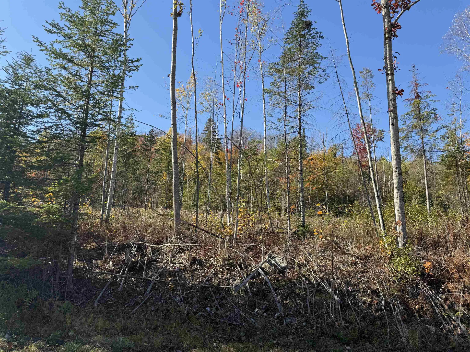 Lot 24 Hartco Avenue Lancaster NH 03584