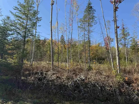 Lot 24 Hartco Avenue Lancaster NH 03584