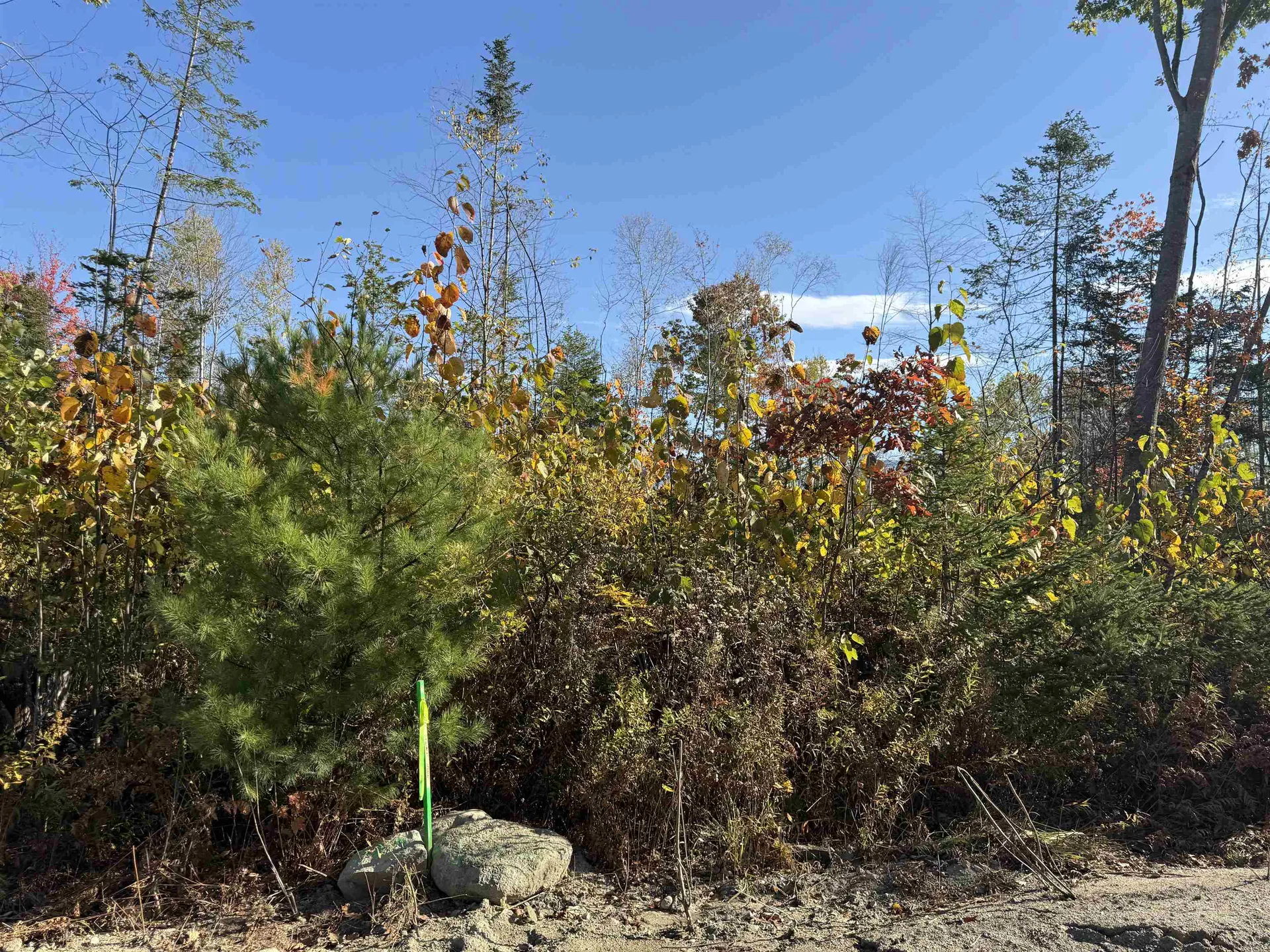 Lot 25 Hartco Avenue Lancaster NH 03584