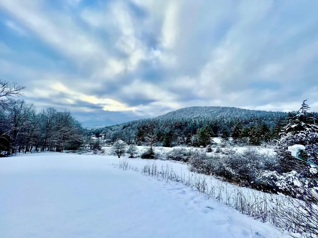 257 Partridge Road Guilford VT 05301