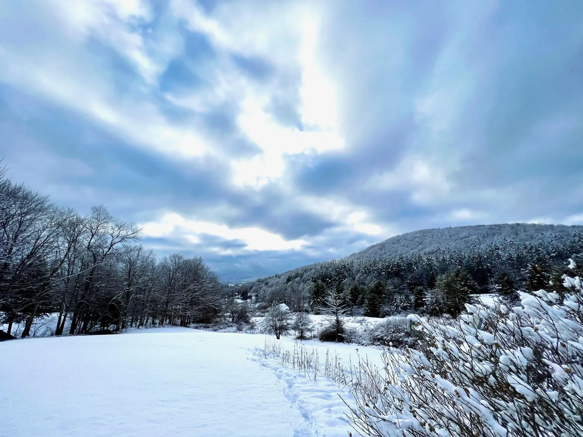 257 Partridge Road Guilford VT 05301