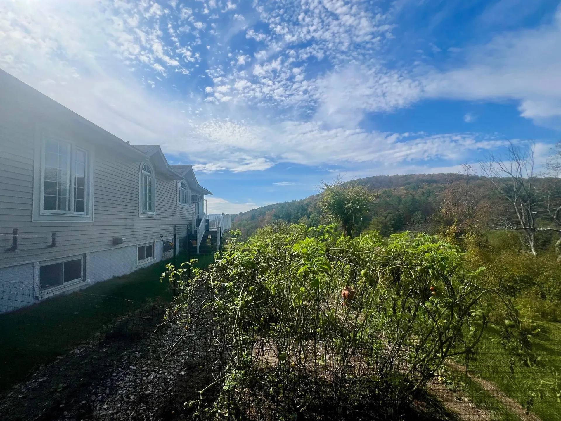 257 Partridge Road Guilford VT 05301