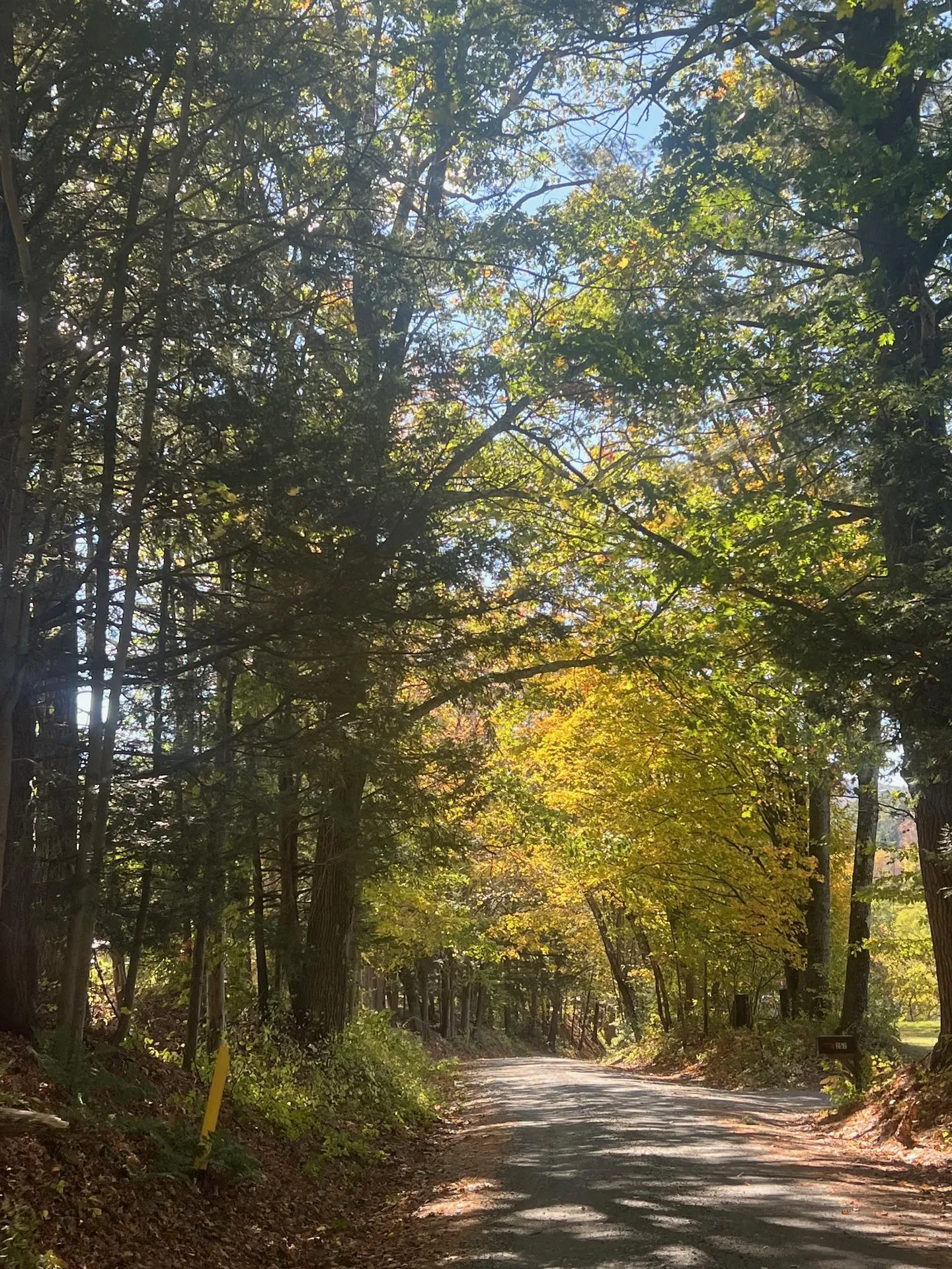 257 Partridge Road Guilford VT 05301