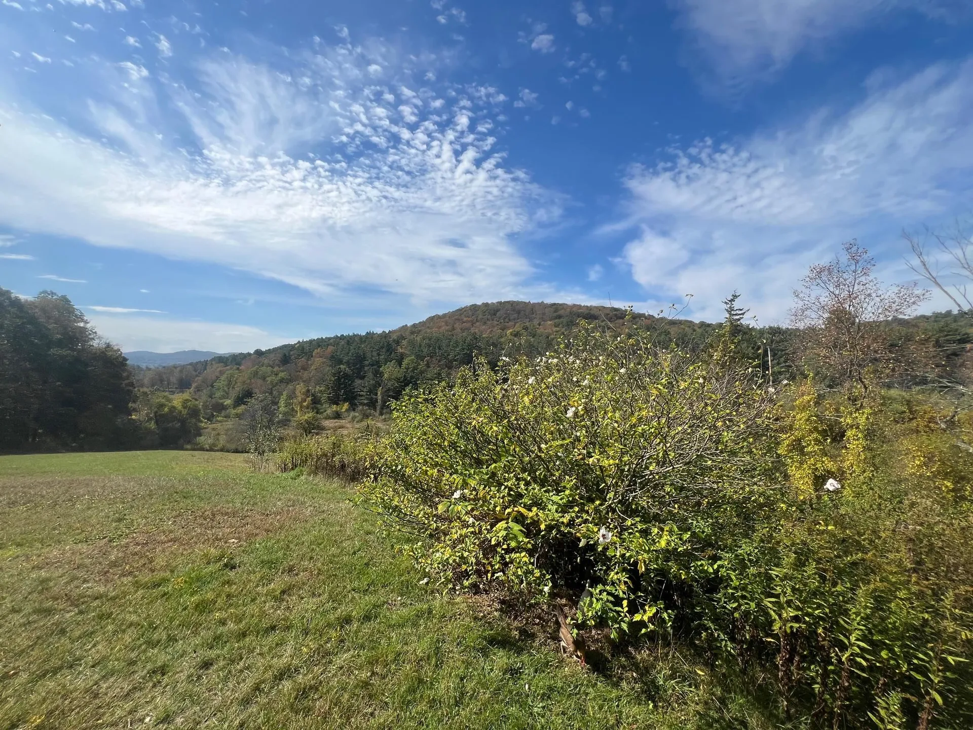 257 Partridge Road Guilford VT 05301