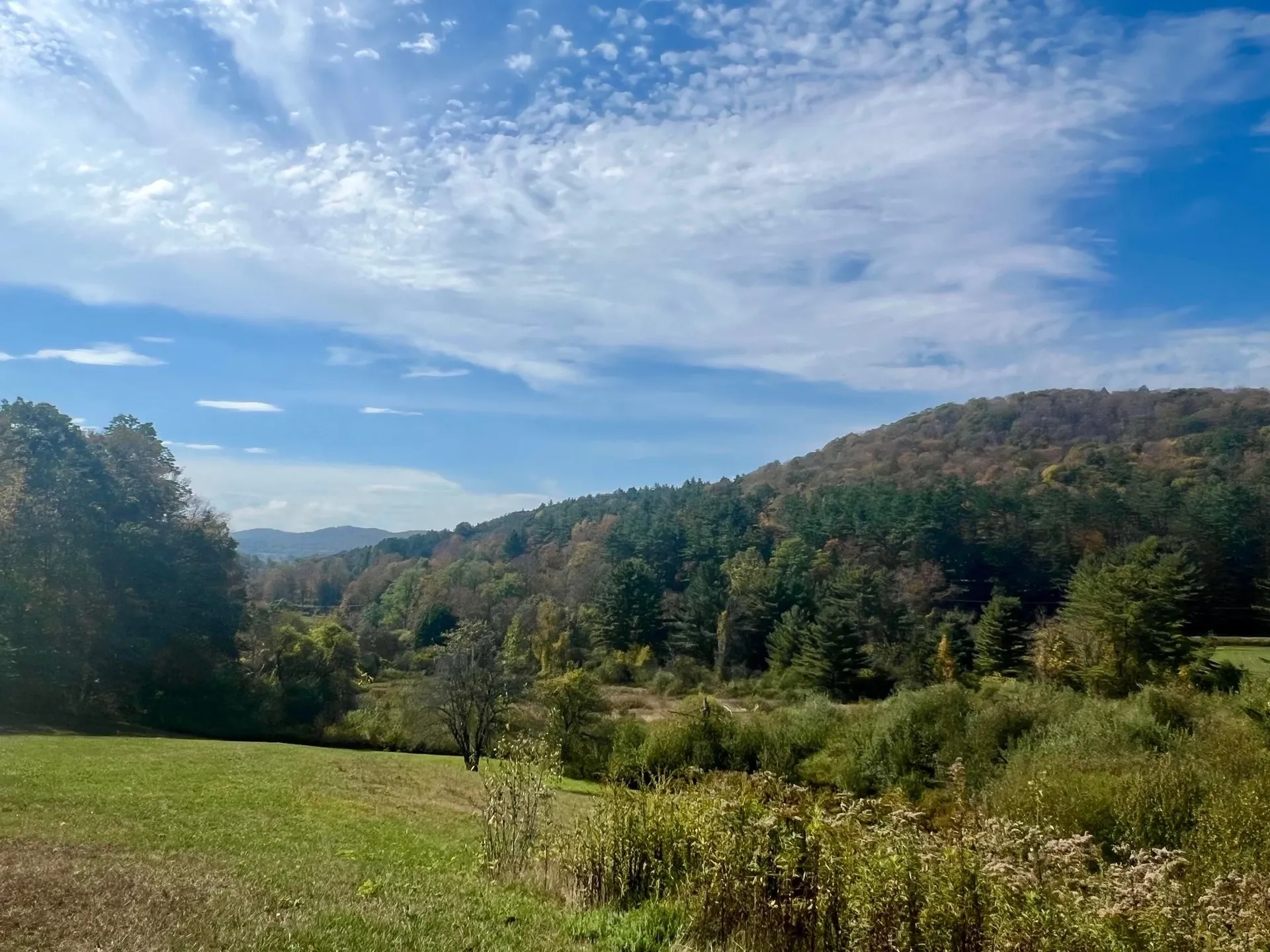 257 Partridge Road Guilford VT 05301