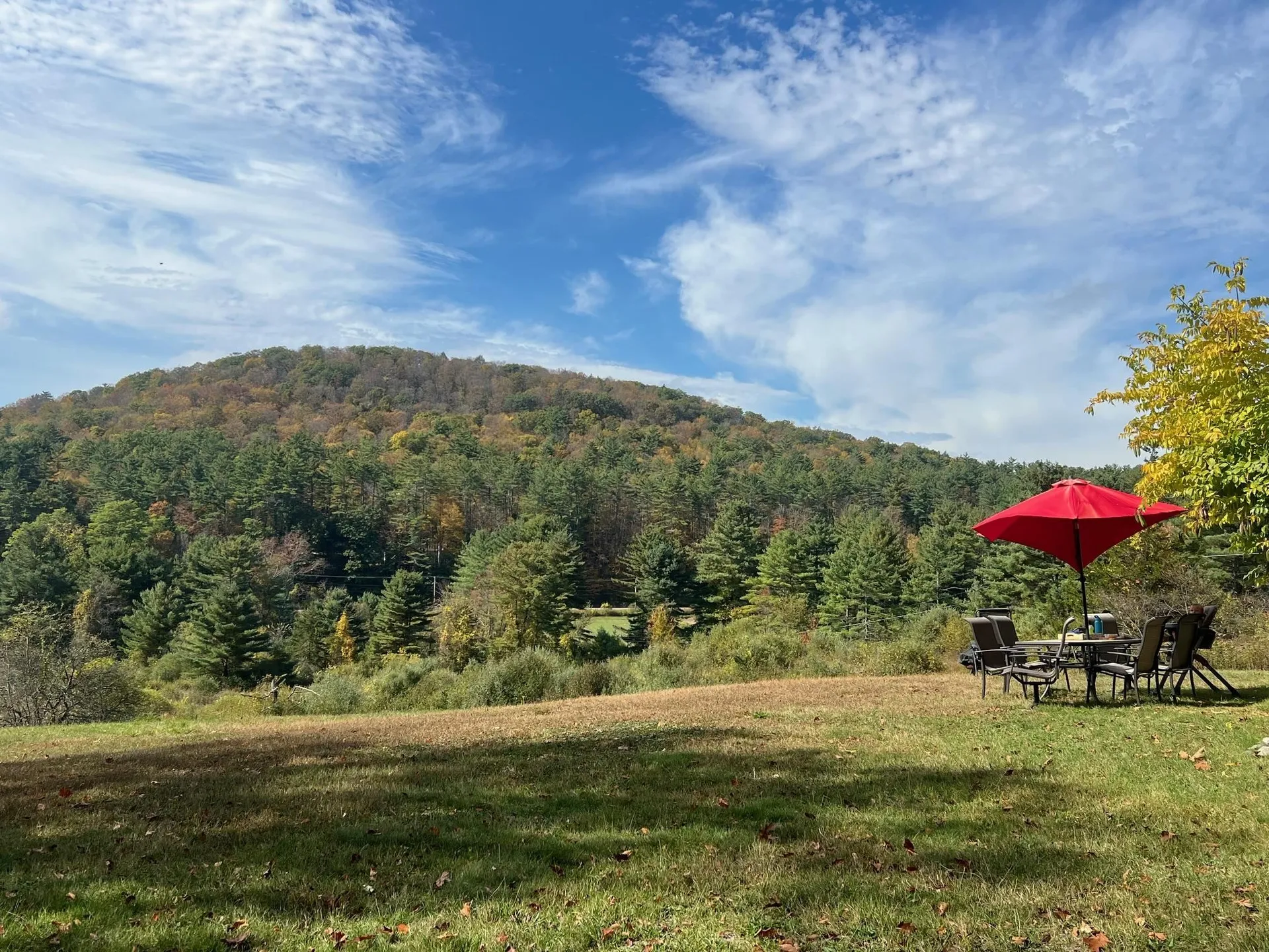 257 Partridge Road Guilford VT 05301