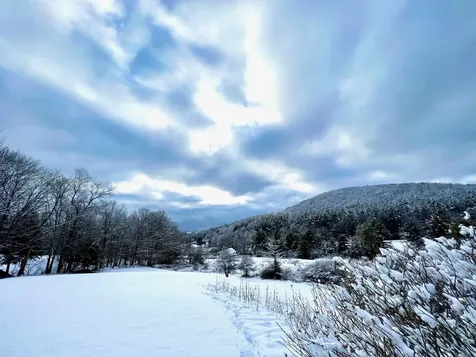 257 Partridge Road Guilford VT 05301