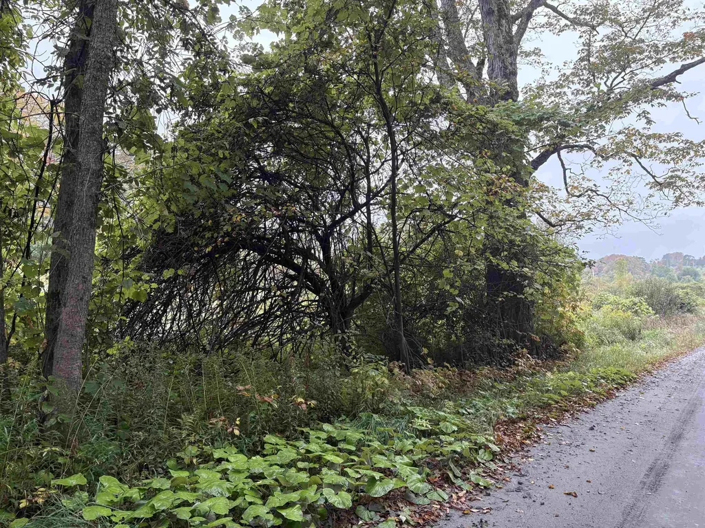 0 West Street Brookfield VT 05036