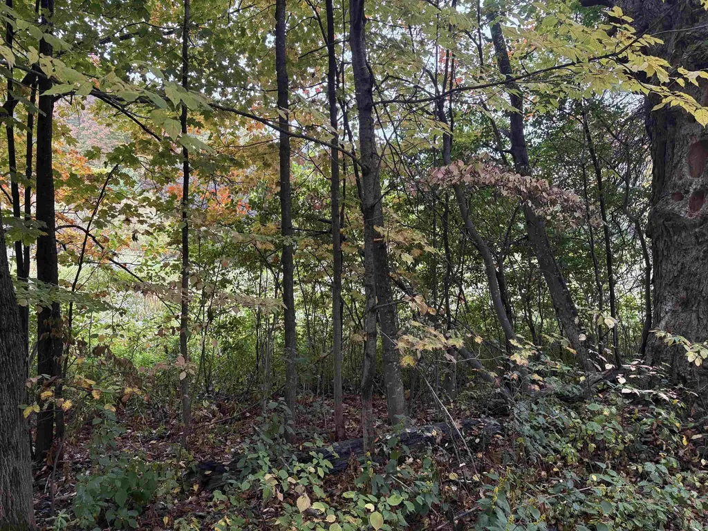 0 West Street Brookfield VT 05036