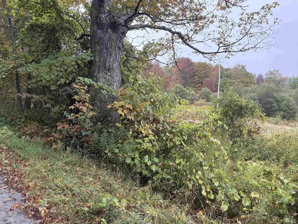 0 West Street Brookfield VT 05036